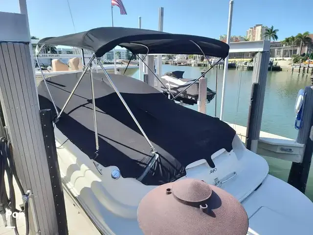 Sea Ray 240 Sundeck