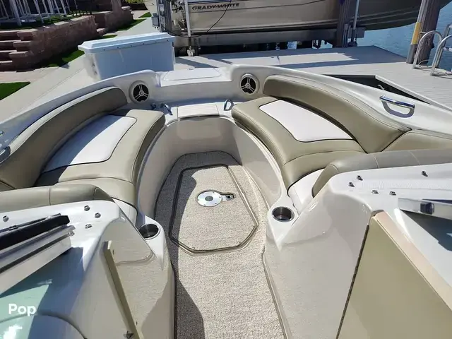 Sea Ray 240 Sundeck