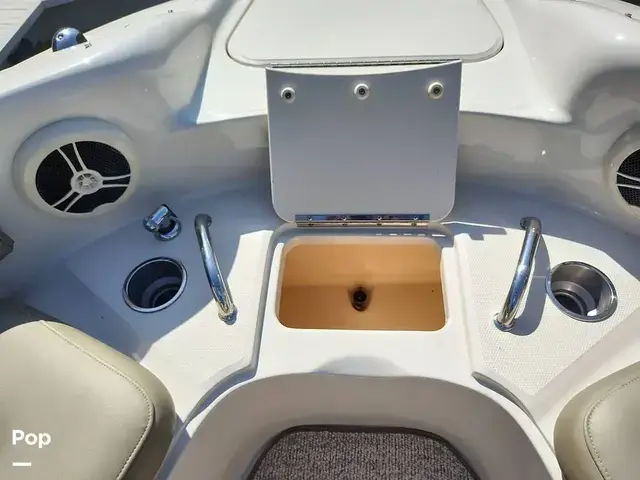 Sea Ray 240 Sundeck