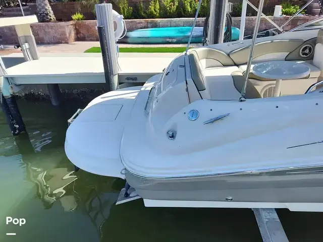 Sea Ray 240 Sundeck