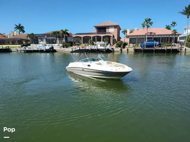 Sea Ray 240 Sundeck