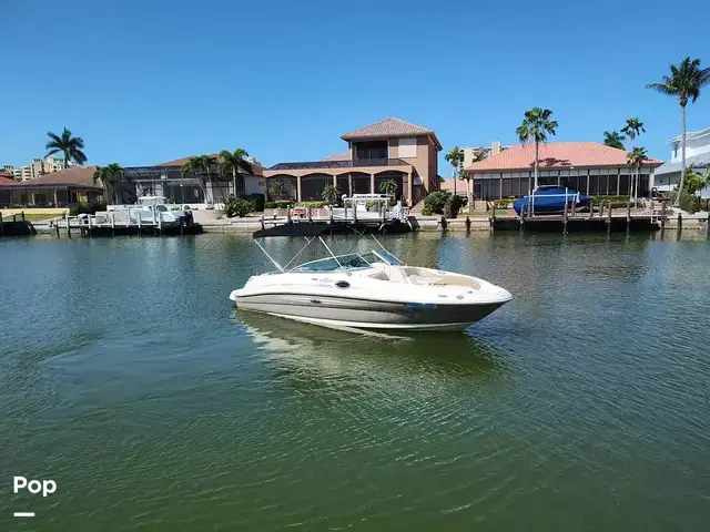 Sea Ray 240 Sundeck