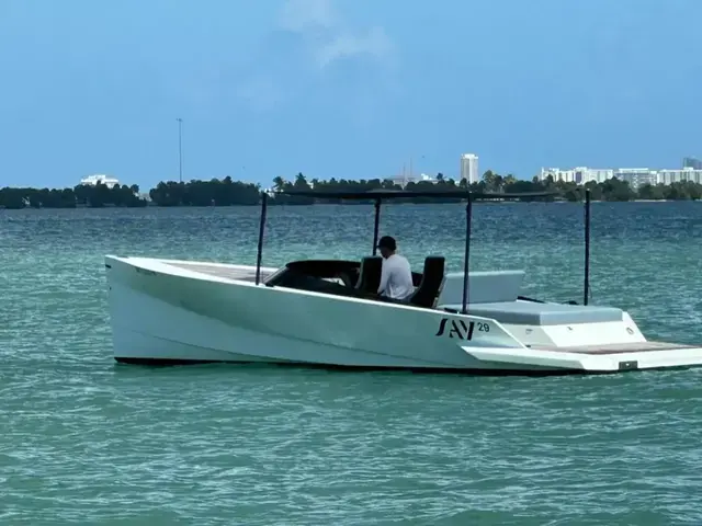 SAY Carbon 29'