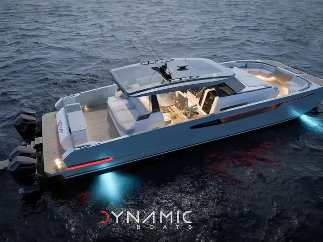 Dynamic 53'