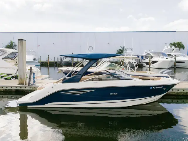 Sea Ray 25