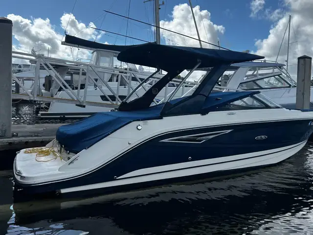 Sea Ray 25