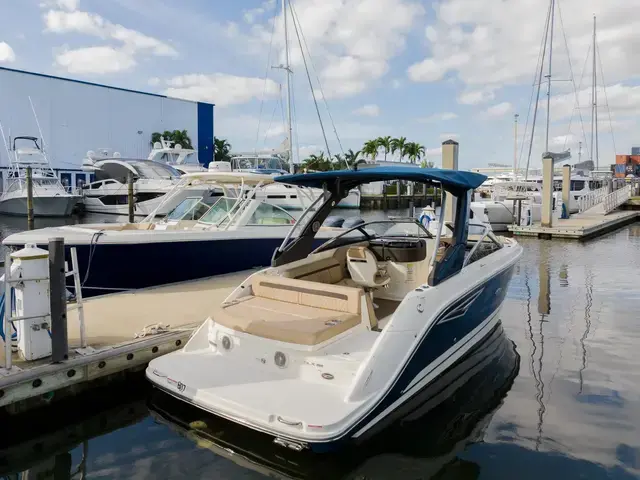 Sea Ray 25