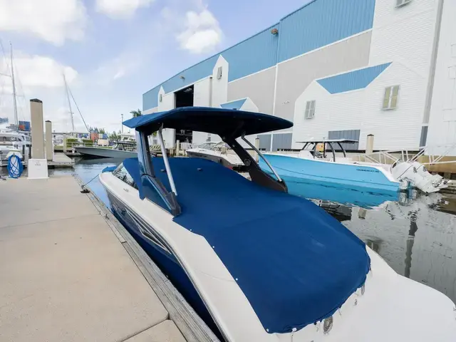 Sea Ray 25