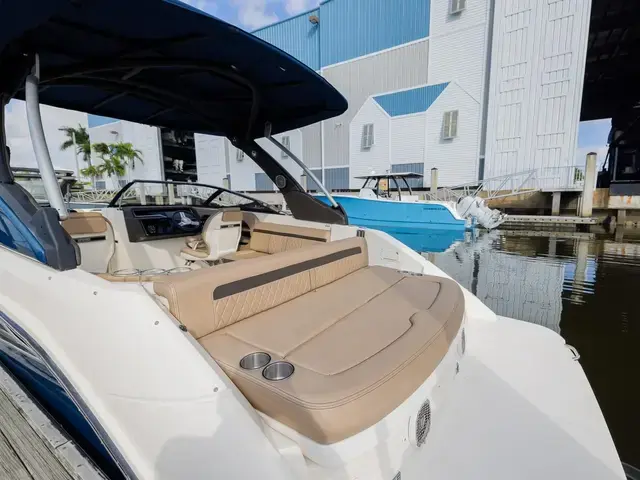 Sea Ray 25