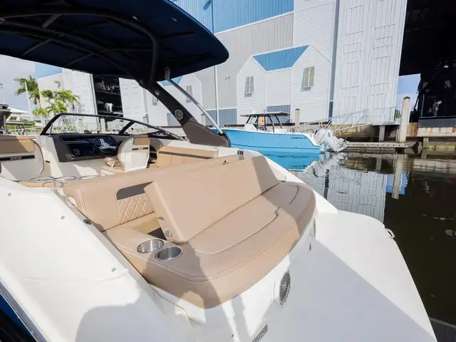 Sea Ray 25