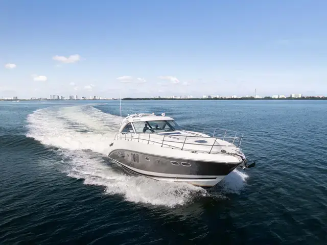 Sea Ray 54'