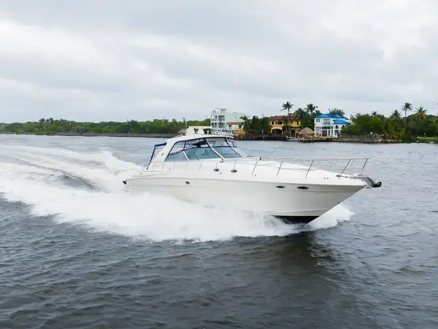 Sea Ray 60'