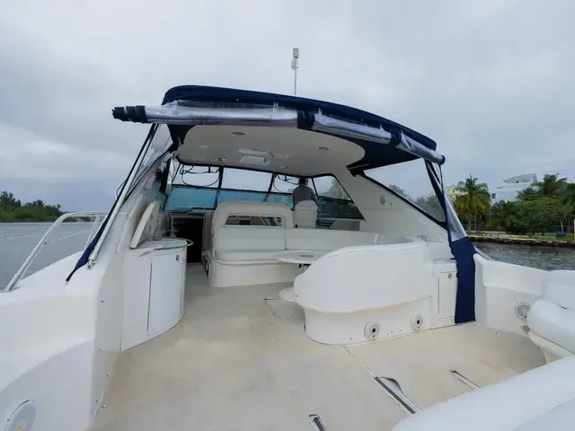 Sea Ray 60'