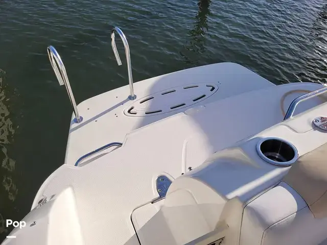 Sea Ray 260 Sundancer