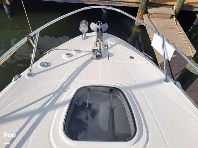 Sea Ray 260 Sundancer