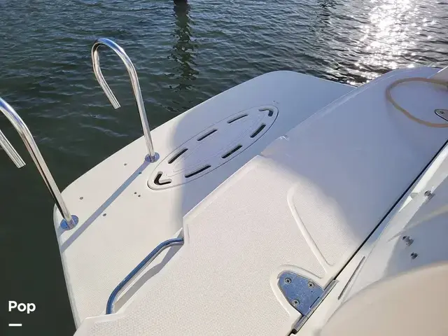 Sea Ray 260 Sundancer