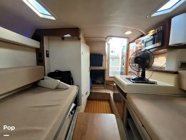 Sea Ray 260 Sundancer