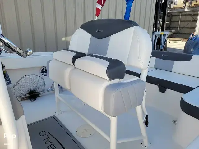 Robalo R242 Explorer