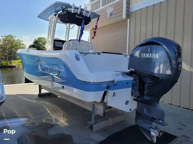 Robalo R242 Explorer