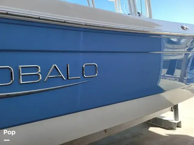 Robalo R242 Explorer