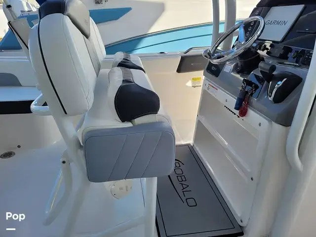 Robalo R242 Explorer