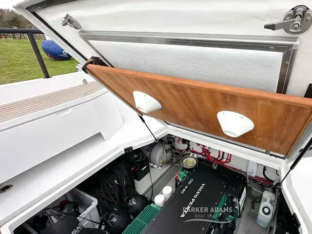 Sargo 31