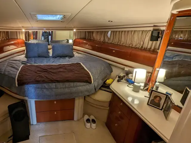 Sea Ray 56'