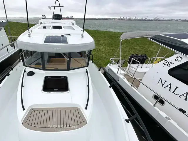 Sargo 31