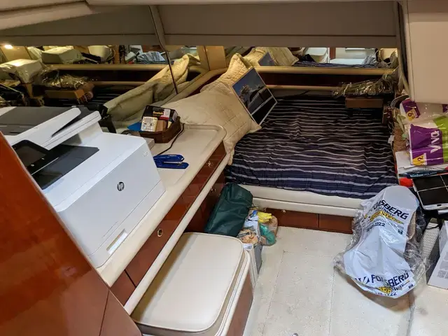 Sea Ray 56'