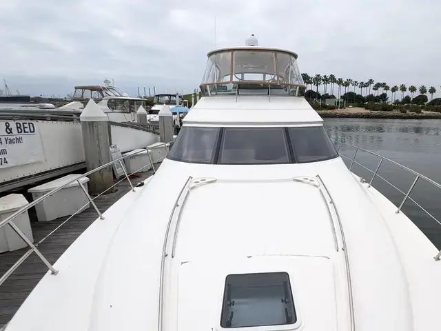 Sea Ray 56'