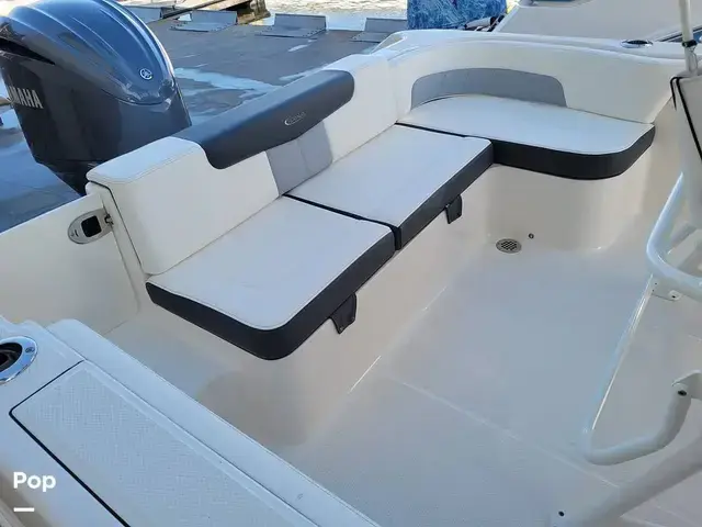 Robalo R242 Explorer