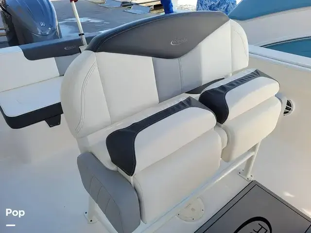 Robalo R242 Explorer