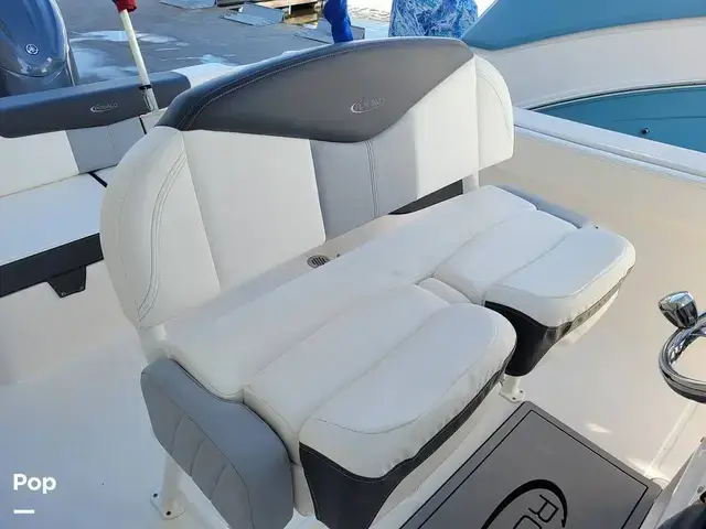 Robalo R242 Explorer