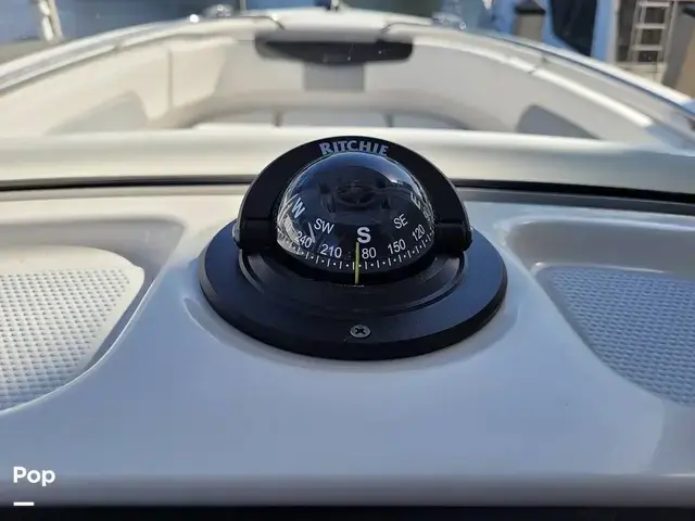 Robalo R242 Explorer