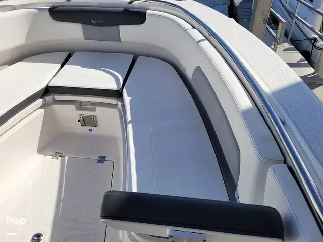 Robalo R242 Explorer