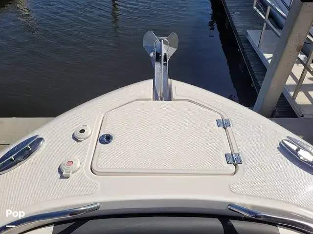 Robalo R242 Explorer