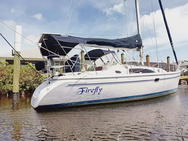 Catalina 309