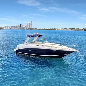 2006 Sea Ray Sundancer 300