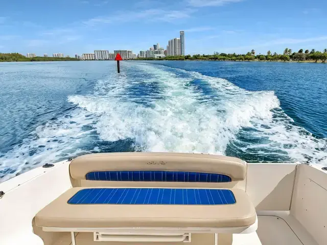 Sea Ray Sundancer 300