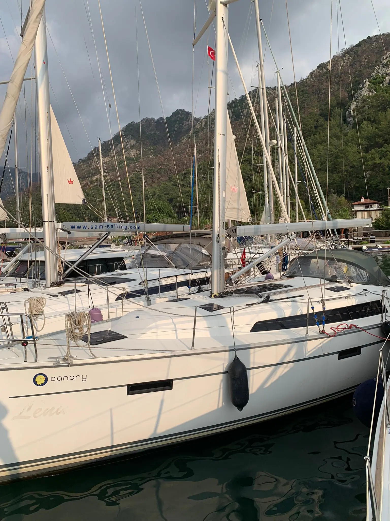 2014 Bavaria 41