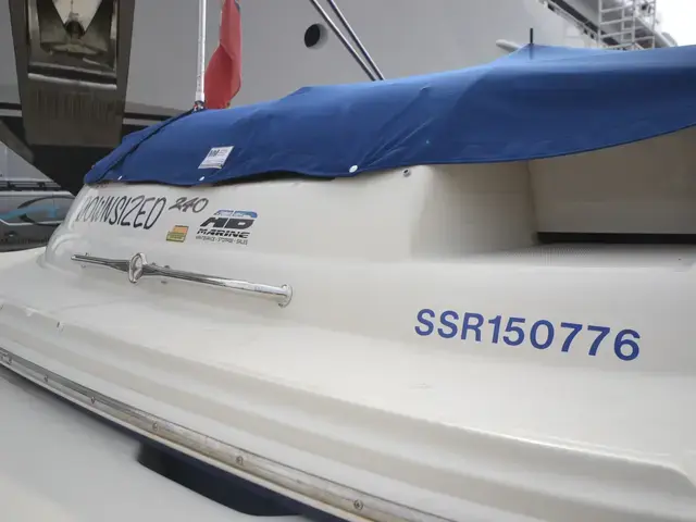 Sea Ray 240 Sun Deck