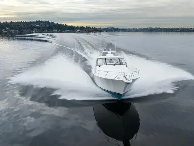 Viking 52'