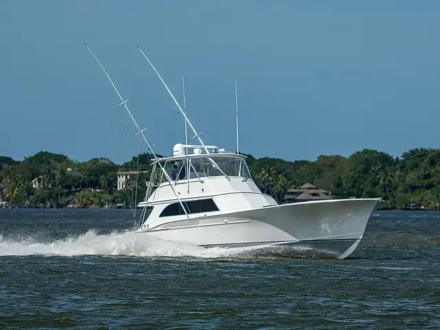 Sportsman 60'