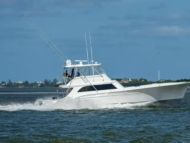 Sportsman 60'