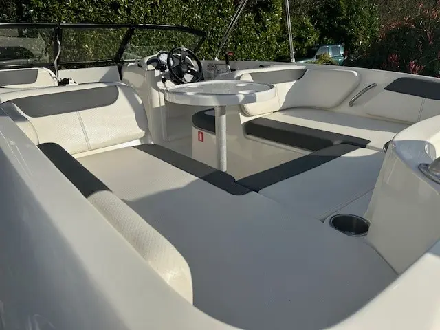 2017 Bayliner element e18 ob