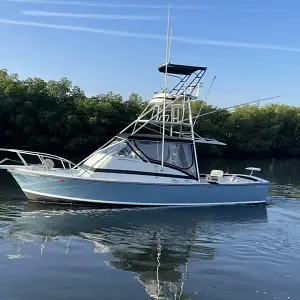 1967 Bertram 31 Bahia Mar