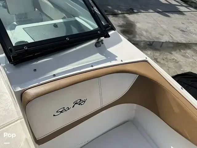 Sea Ray 190 Spx