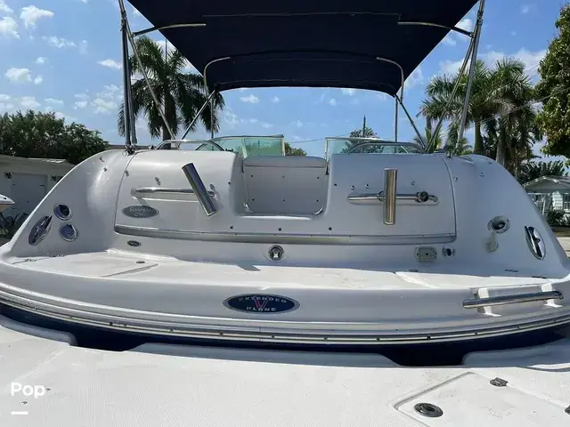 Chaparral Sunesta 274