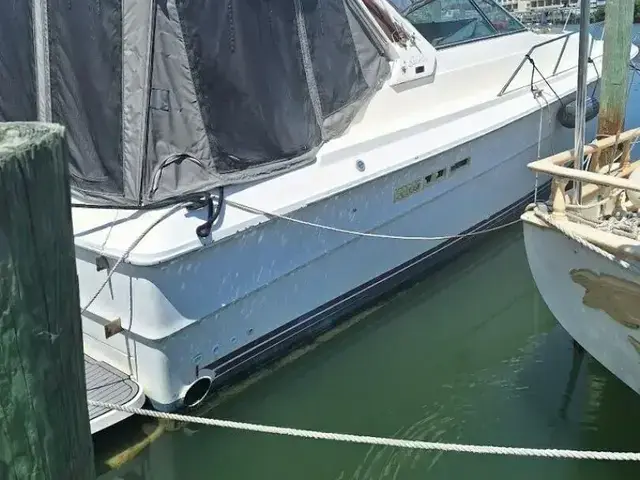 Sea Ray 390 Express Cruiser