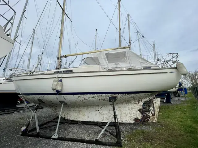 Hallberg-Rassy Rasmus 35